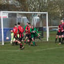 Montrose Roselea almost staged an incredible comeback. Pic by Kevin Pert