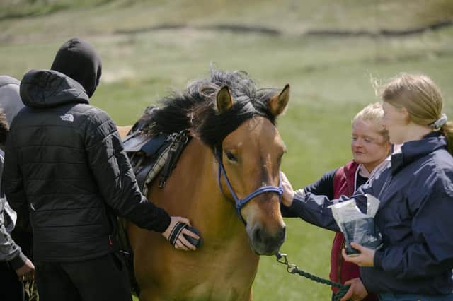 Pupils were given experience in a wide variety of aspects of estate and rural management.