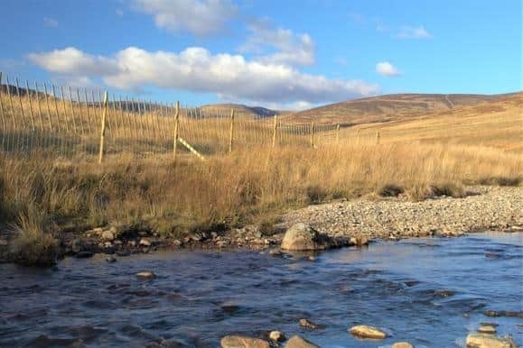 The projects involves FLS and other local landowners.
