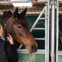 Didn’t get the grades? Angus students can still have a dream career in animal physiotherapy