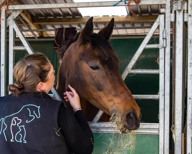 Angus students can still get their dream job in animal care - Animal News Agency