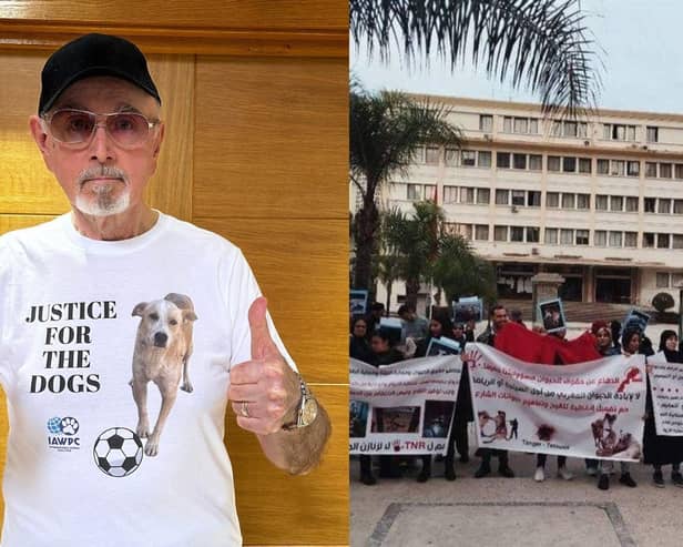 Peter Egan hopes that Angus dog lovers will join in the global sponsored walk on Saturday - Animal News Agency