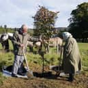 The Queen’s Green Canopy was due to end in December. (Andrew Milligan/pool/AFP via Getty Images)