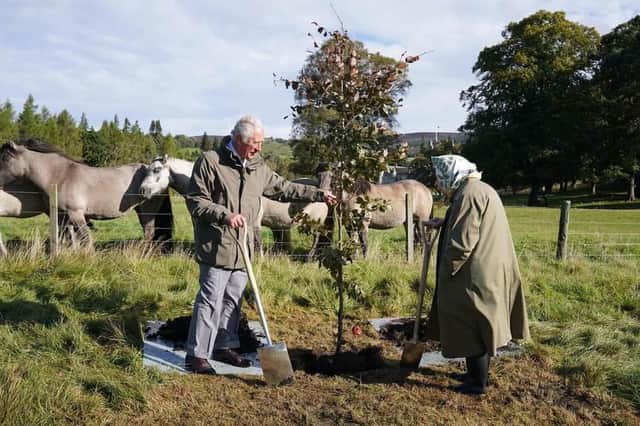 The Queen’s Green Canopy was due to end in December. (Andrew Milligan/pool/AFP via Getty Images)