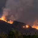 ​A single spark can set off a wildfire which can spread quickly.