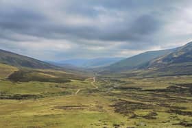 ​The proposals intend that the glens will be transformed at landscape scale.