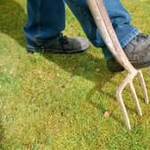 Lawns under attack sometimes need a bit of help to recover and look their best