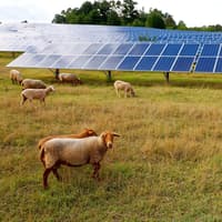 Solar farm and energy storage system proposed for site near Glamis