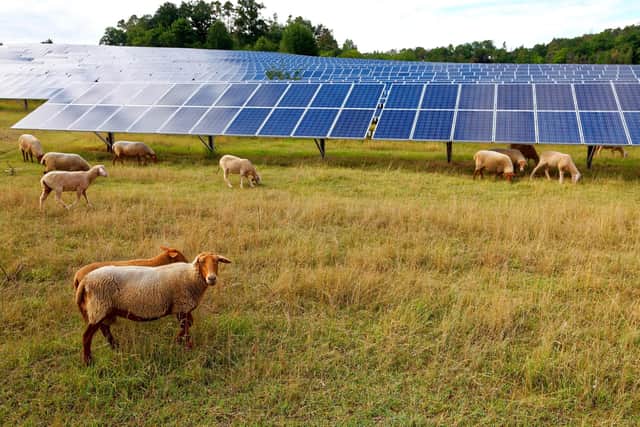 The Cossans project is one of two that BLC Energy has proposed. (Pic: Karl-Friedrich Hohl/Getty Images)