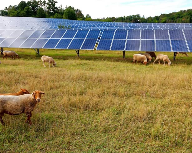 The Cossans project is one of two that BLC Energy has proposed. (Pic: Karl-Friedrich Hohl/Getty Images)