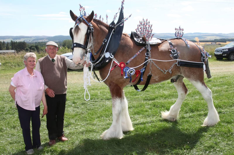 D & E Proctor with their Pure Clydesdale McFin Diamond Duke, of Gask Farm, Letham who won Champion Harness.