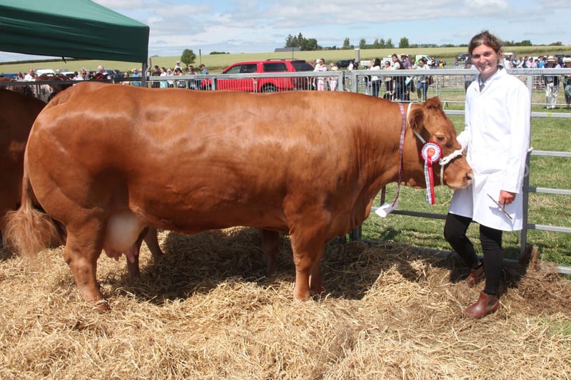 Lindsay Nelson with the champion Limousin purebred bull calf from I & G Grant, Bank of Gallery North Waterbridge.