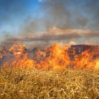 Public urged to avoid using naked flames outdoors as wildfire warning issued for most of Scotland
