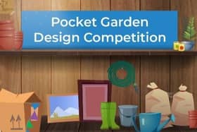 ​Vote for favourite designs online.