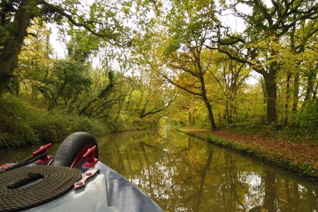 Leafy tranquillity on the Oxford Canal.