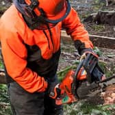 Clearing windblown is dangerous and should be left to the professionals.