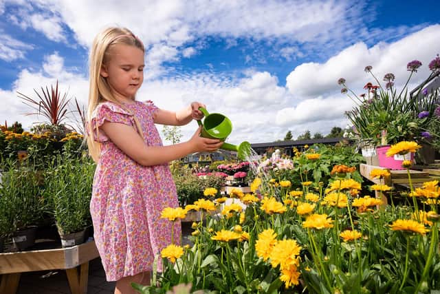 Little Seedlings Ambassador Ella McConkey is pictured watering flowers at Dobbies