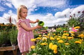Little Seedlings Ambassador Ella McConkey is pictured watering flowers at Dobbies