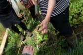 Angus and Dundee Chamber of Commerce is hosting a workshop for all local food businesses.