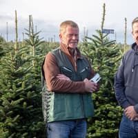 Tree campaign brings festive cheer to local schools