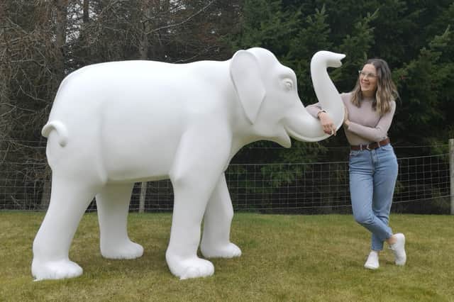 Kirrie artist Sandra Webster with her elephant, which is part of The Big Trunk Trail to raise money for Keech Hospice Care.