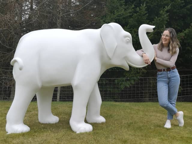 Kirrie artist Sandra Webster with her elephant, which is part of The Big Trunk Trail to raise money for Keech Hospice Care.