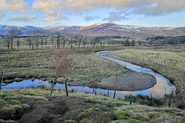 The project has been nominated for this year’s UK River Prize for its work, which has increased biodiversity and reduced the risk of flooding.