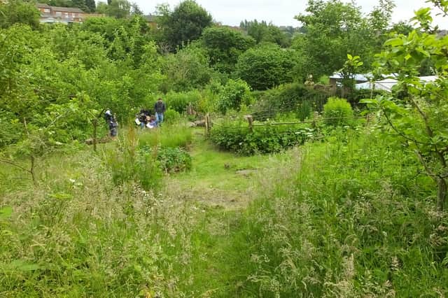 The scheme consists of two funding streams - Community Capacity Grants and Environment Grants.