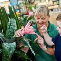 Dinosaur Day at Dobbies’ Dundee store Unearth Prehistoric Plants at Dobbies Garden Centres’ Little Seedlings Club