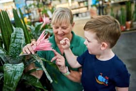 August’s Little Seedlings Club at Dobbies Garden Centres will cover Prehistoric Plants. Little Seedlings Ambassador Thomas Jackson is pictured at Dobbies’ Ashfor