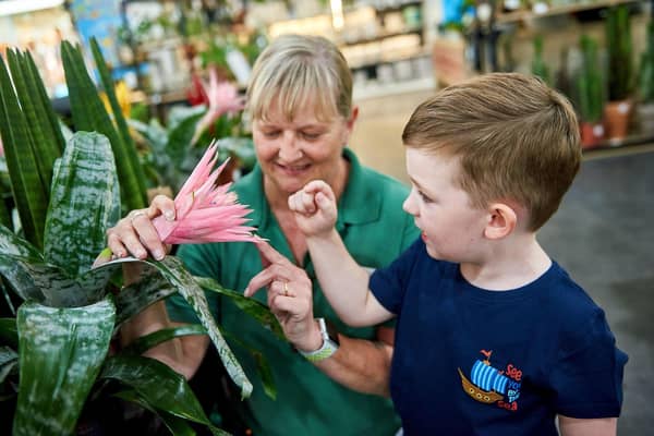 August’s Little Seedlings Club at Dobbies Garden Centres will cover Prehistoric Plants. Little Seedlings Ambassador Thomas Jackson is pictured at Dobbies’ Ashfor