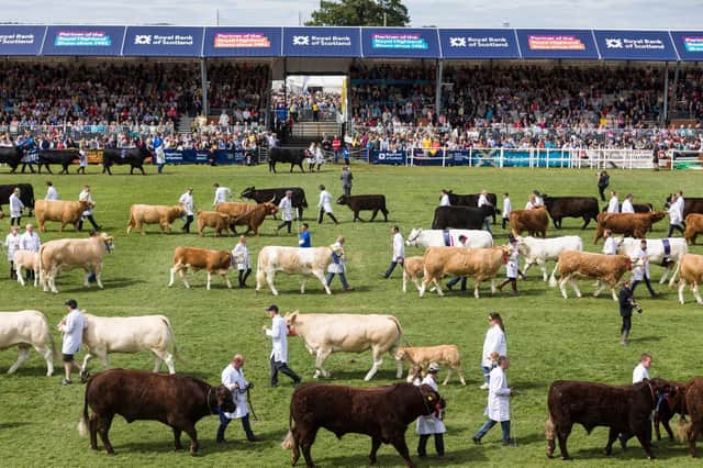 The fund aims to help shows recover following significant recent financial challenges.