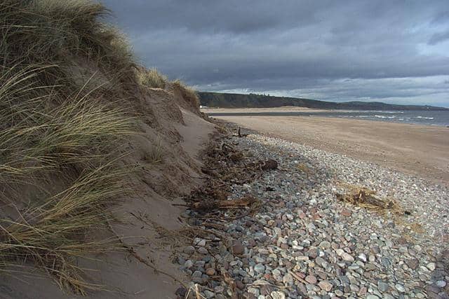 Removing material from beaches can be damaging to the environment.