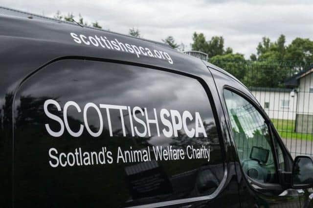 More information about the Scottish SPCA’s ‘Broken’ campaign can be found at https://bit.ly/3CHQB6P.