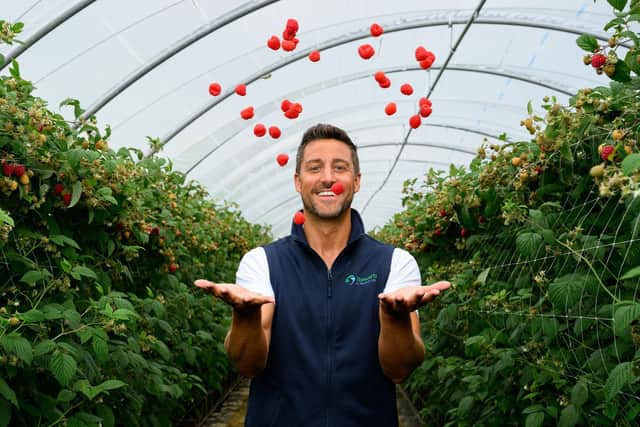 17.6 million Scottish raspberries heading to Asda shelves with Stewarts of Tayside. Pictured is Liam Stewart, MD at Stewarts of Tayside