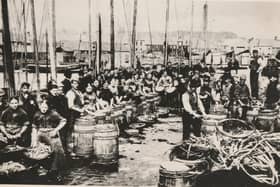 Fisher lassies gutting, salting and packing herring at a busy Arbroath Harbour on an unknown date.