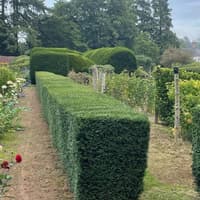 Ancestral home to open its gardens this weekend for charity