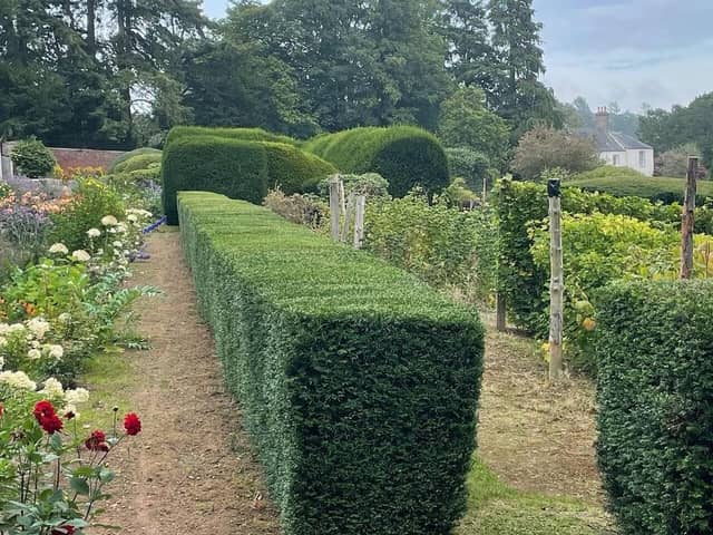 ​Arbuthnott House gardens will be open to the public this Sunday.