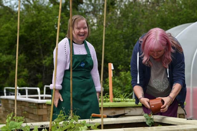 The People’s Projects are back, launched this week after a three-year absence. Applications are being taken up until October 7.