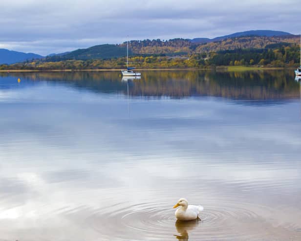 Loch Morlich