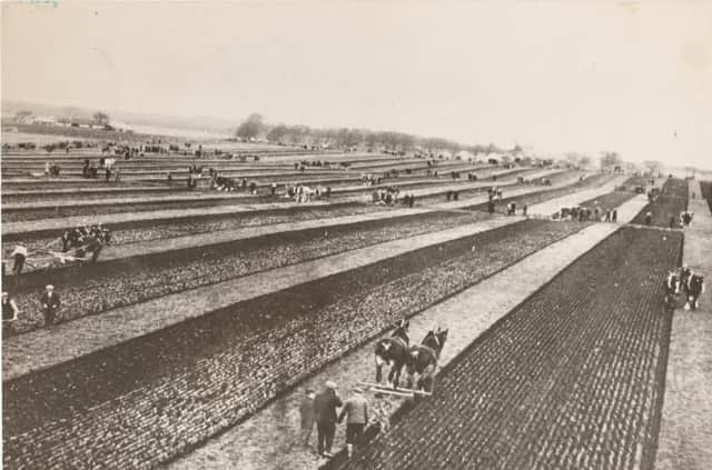 What a majestic vista! The location of this ploughing match in Angus is not recorded, but there is no doubt as to the seriousness with which these men and horses took the event.