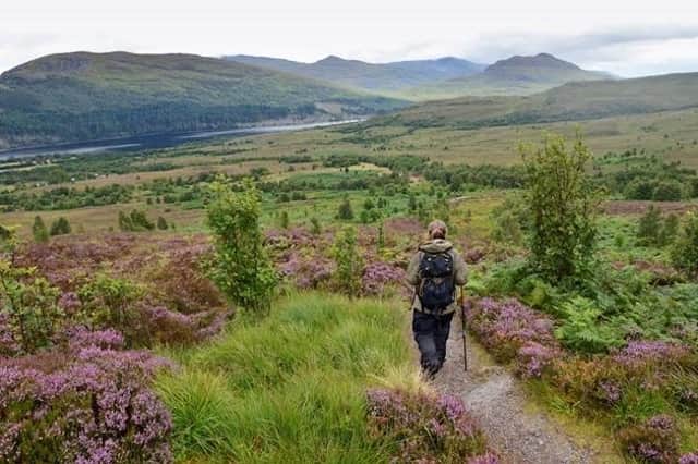 Scotland offers fantastic hillwalking, but summer and autumn are also important for deer stalking.