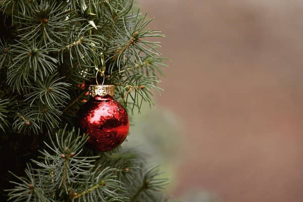 The Giving Trees will remain in-store until Christmas Eve.