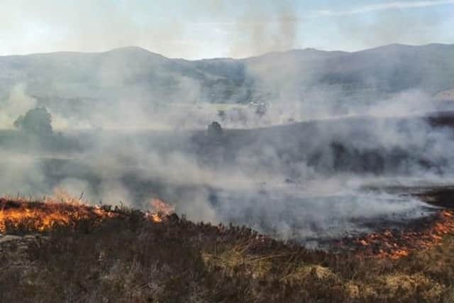 The Cannich wildfire is thought to be the biggest seen in the UK.