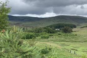 ​The Rottal Estate has increased tree planting on its land in Glen Clova.