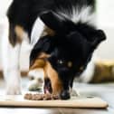 Bella & Duke calls for clearer pet food labelling
