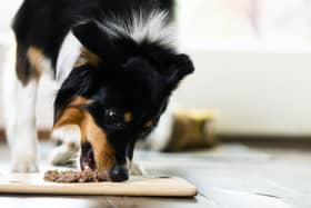 Bella & Duke calls for clearer pet food labelling