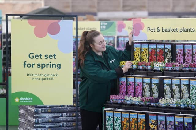 Dobbies Garden Centres launches spring