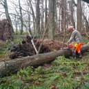 The damage caused by Storm Eowyn is still being assessed.