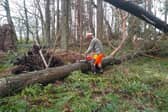 The damage caused by Storm Eowyn is still being assessed.